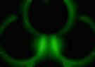 green-rings1.jpg (1601 bytes)