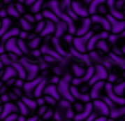 purple4.jpg (14269 bytes)