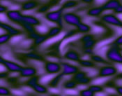 purple5.jpg (11366 bytes)